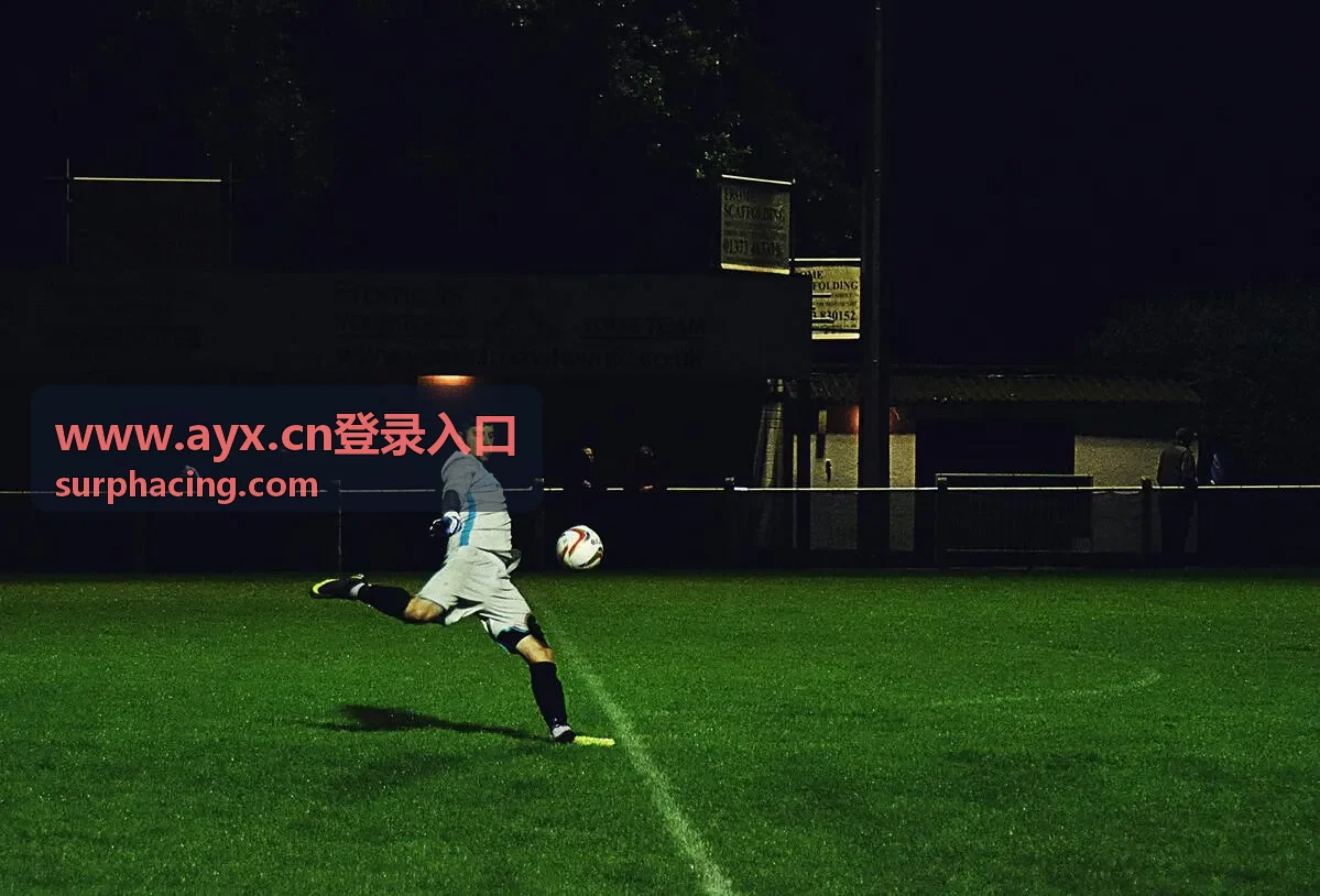 访问路径与www.ayx.cn登录入口对应关系图解